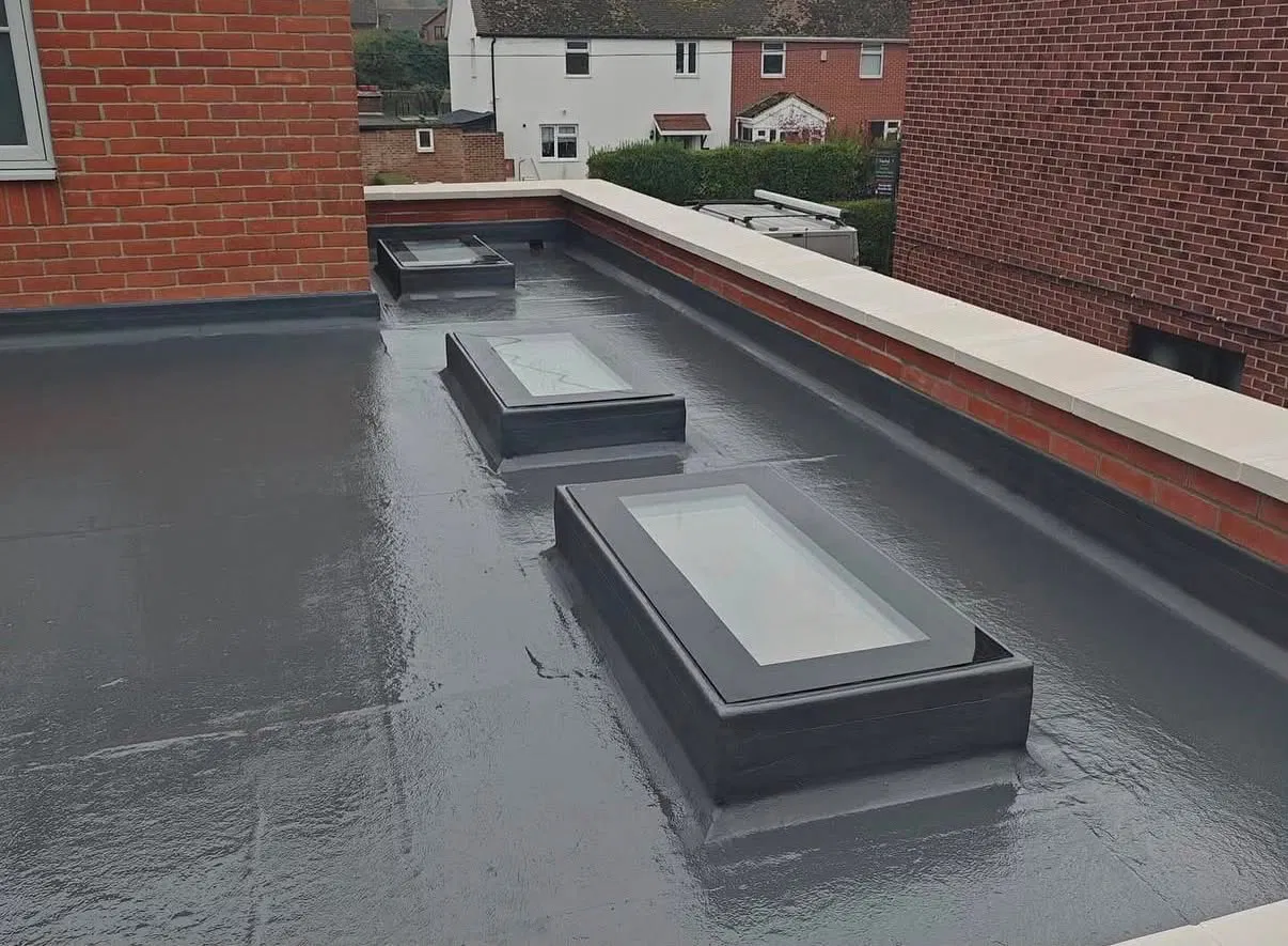 Rear Extension with Roof Lights